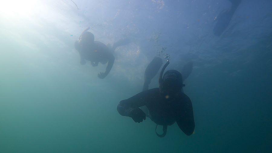 Bretagne Passion Sous-Marine la plongée sous-marine