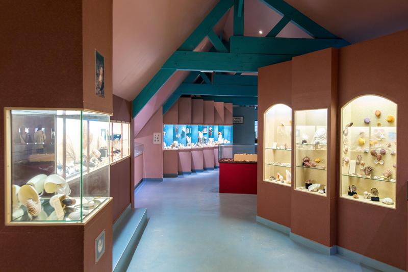 Exposition de coquillage au musée de la Ferme Marine sur Cancale